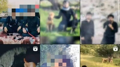 دوو تۆمەتبار لە قەزای شارەزوور دەستگیران