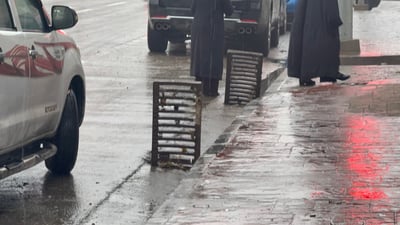 ژینگەپارێزان زوو فریای تەیراوە کەوتن و ئاوەچۆڕیان کرد