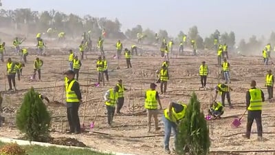 عمال ومتطوعون على مد النظر.. حزام الزيتون والفستق سيلف أربيل