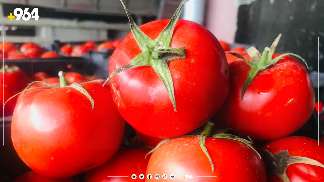 بەرهەمی ئێرانی نەبێت نرخی تەماتە رکابەری پیاز دەکات