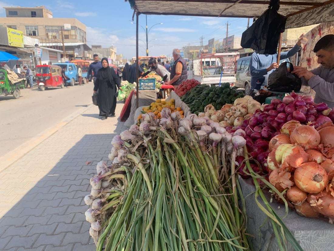 أبو غريب: ارتفاع أسعار محصولي البصل والثوم مع بدء موسم حصاد المحلي منهما