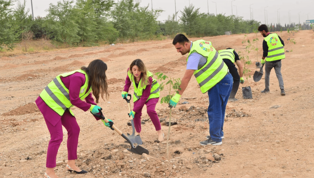 لە چوارچێوەی هەڵمەتێکدا 10 هەزار دار لە هەولێر دەچێندرێت