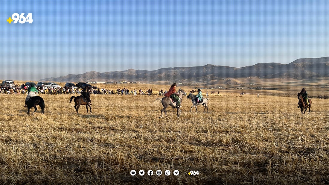 فێستیڤاڵێک بۆ ئەسپی رەسەنی کوردی لە سلێمانی بەڕێوەچوو