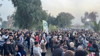 صور: الكثير من الطائرات الورقية على أبو نؤاس.. مهرجان شغ...