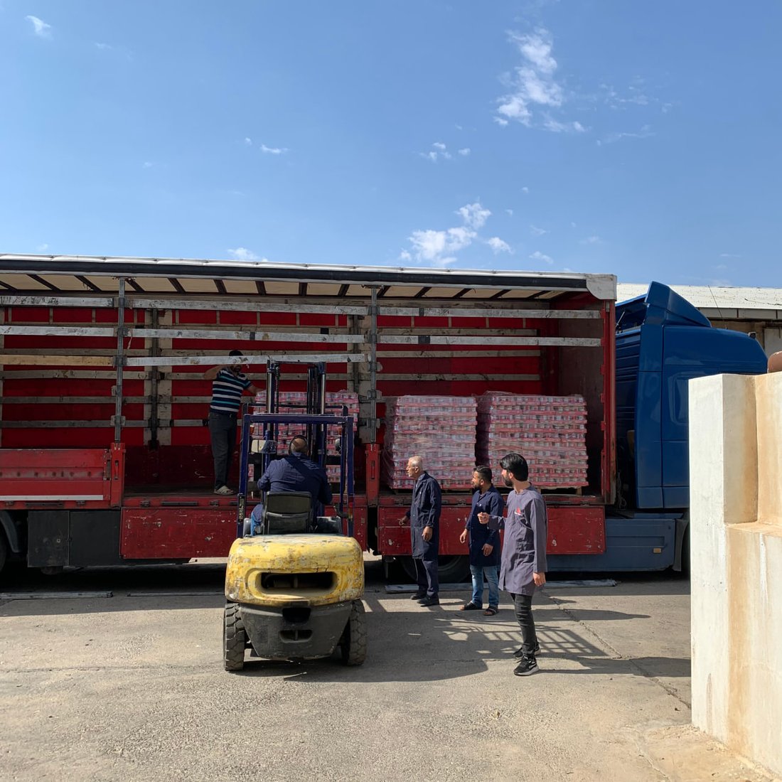 مصنع في أربيل يصدّر إلى أميركا 25 طناً من معجون الطماطم المحلي