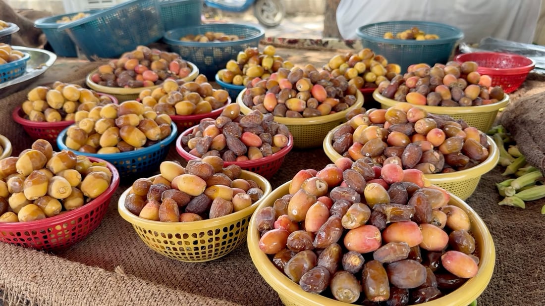 Muthanna’s date season sends 40 to 50 tonnes a day to market