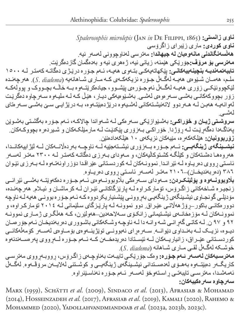 “ره‌شمار”ه‌ تێكئاڵاوه‌كان عاشق نین بەڵکو دوو مارى نێره‌ن و شه‌ڕ ده‌كه‌ن