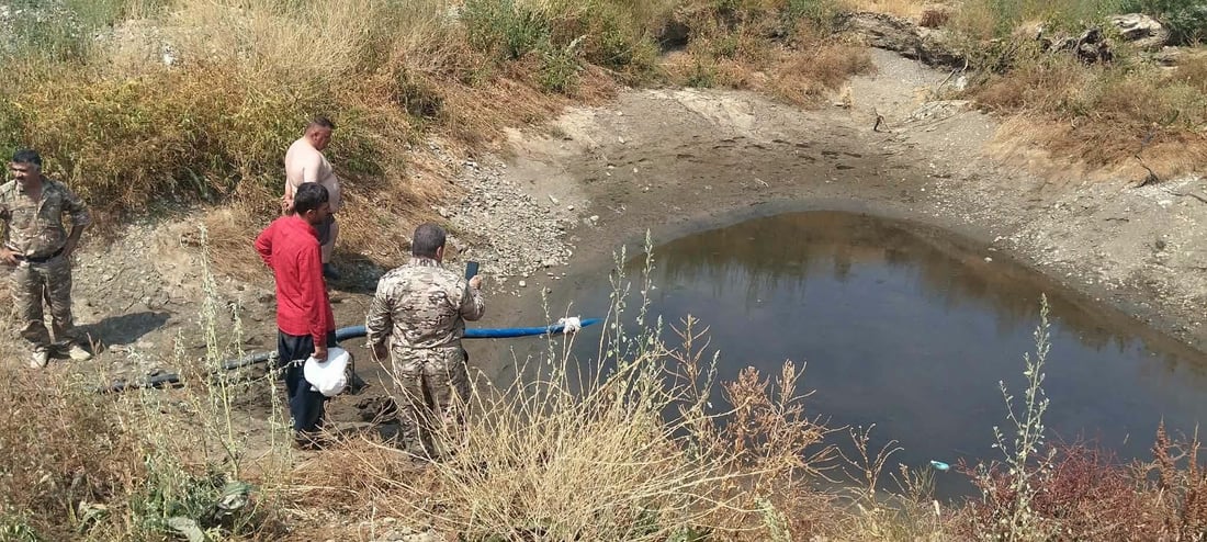 لە سنووری پێنجوێن سەدان ماسی مەترسی لەناوچوونیان لەسەرە