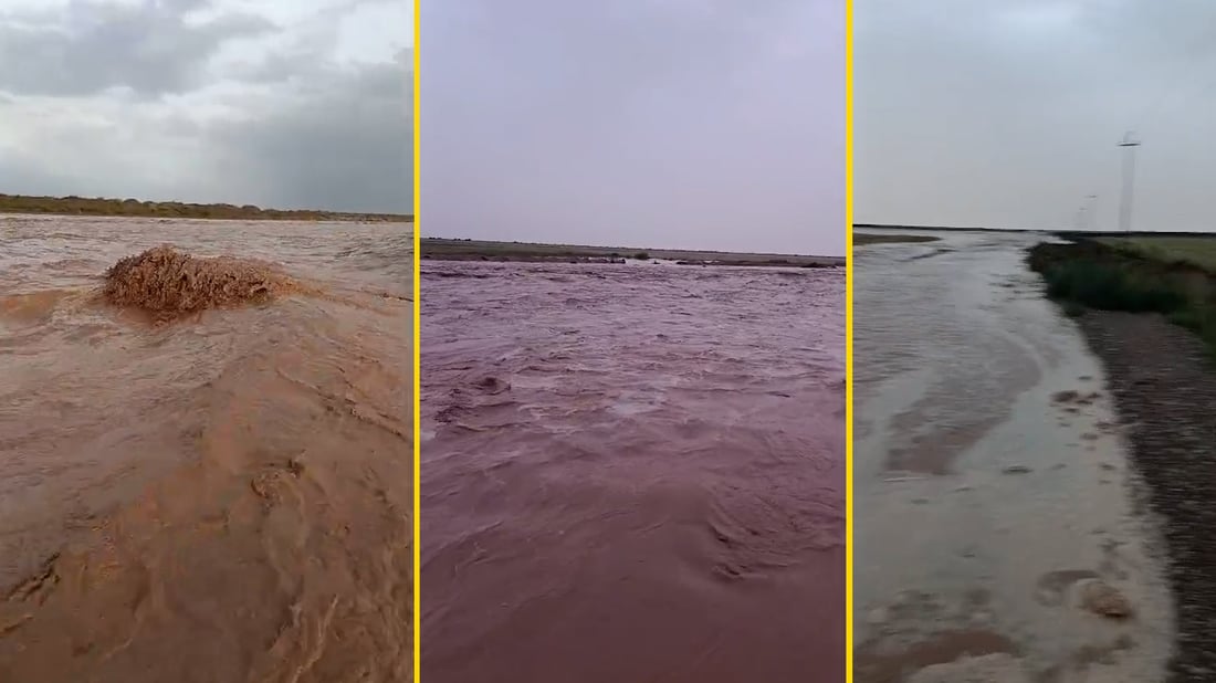 سيول إيران الجارفة تضرب بادية خزينة.. خسائر فادحة في الزراعة والمواشي