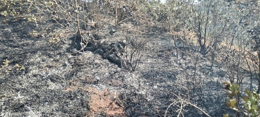 دوو رۆژه‌ ئاگر به‌رۆكى پیرمام به‌رنادات