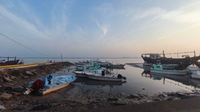 أجواء باردة في مرسى النقعة و5 أطنان من الوحر والبياح والشانگ (صور)