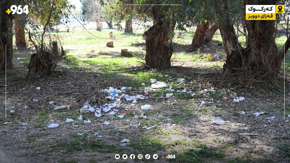 دارستانی (شەناغە) بووەته‌ قوربانى ناوچه‌ جێناكۆكه‌كان