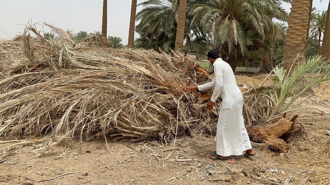 قرية في النجف تطرد نصف سكانها.. الخدمات صفر والمياه تقتل الناس بسوء الهضم (صور)