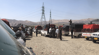 چیدیكە “عمولە” لە جوتیارانی پێنجوێن وەرناگیرێت