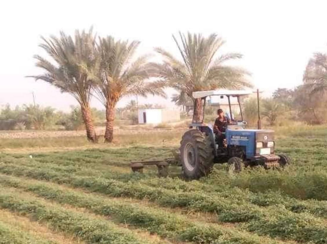 صور من مزارع أبو غريب.. اعتماد أكبر على المكائن وزيادة في البرسيم والذرة