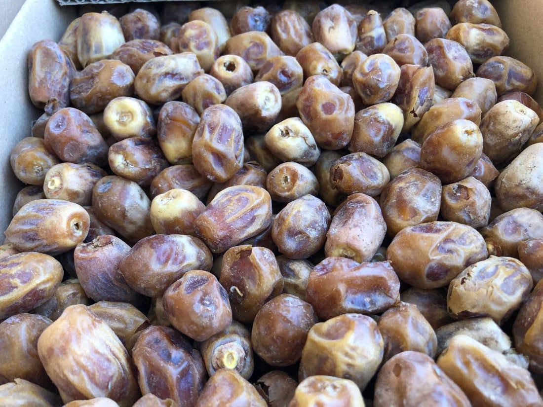 له‌ سلێمانی زیاتر لە تۆنێک خورما لەناودەبرێت