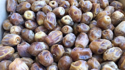 له‌ سلێمانی زیاتر لە تۆنێک خورما لەناودەبرێت