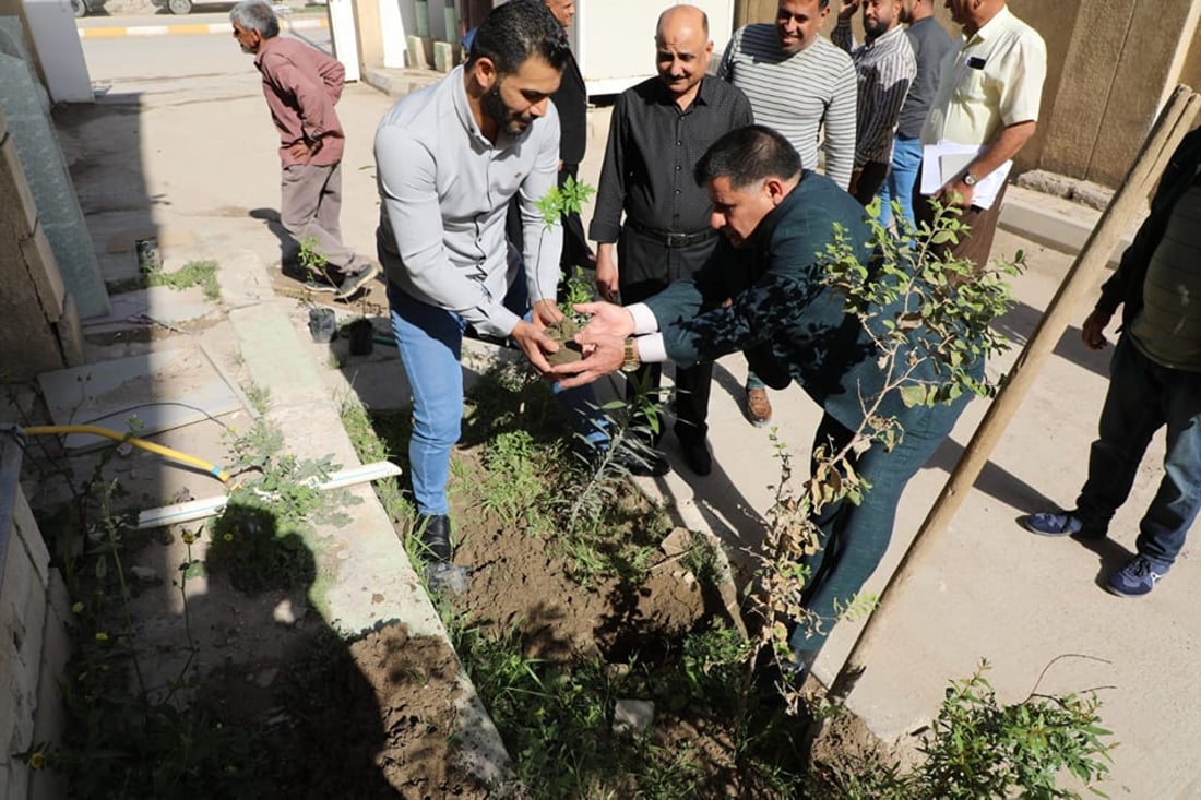 صور: الديوانية تباشر بالتشجير ضمن حملة “زراعة 5 مليون شجرة ونخلة في البلاد”