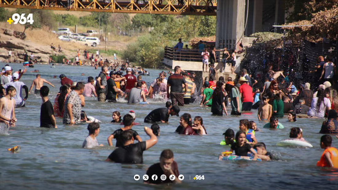 964mediaصورة من منصة (شبكة): 