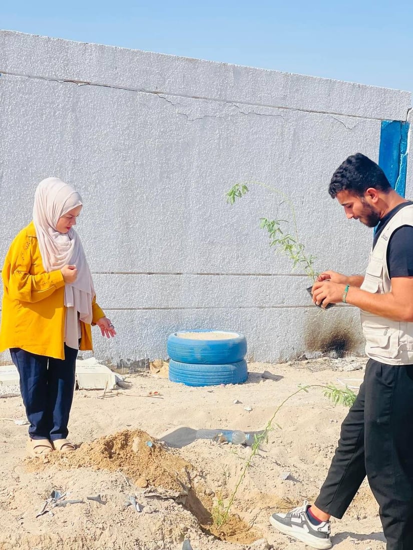 اتفاق مع أهل خور الزبير.. نزرع “شوك البحر” أمام بيوتكم وتتعهدون السقي (صور)