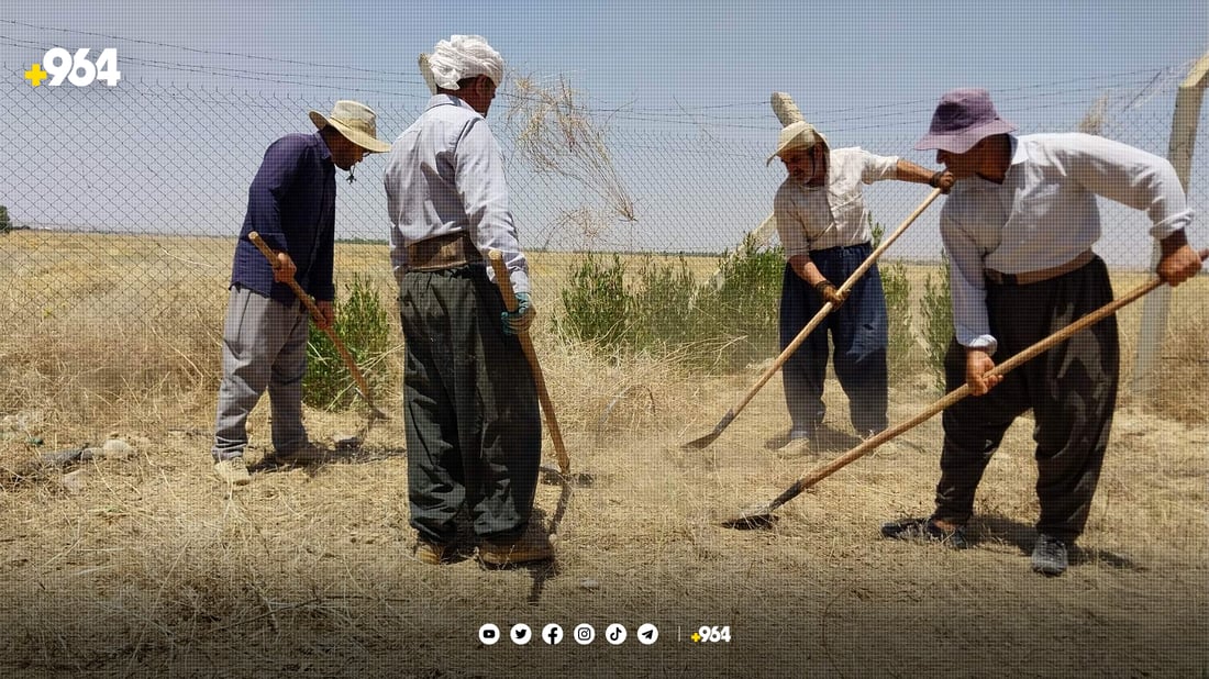 کرێکارانی دارستان و پاوان داوای موچە نەدراوەکانیان دەکەن