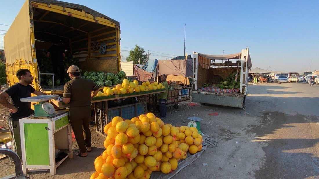 الناصرية: البطيخ الإيراني ضيف ثقيل على العراقي مع نهاية الموسم (صور)