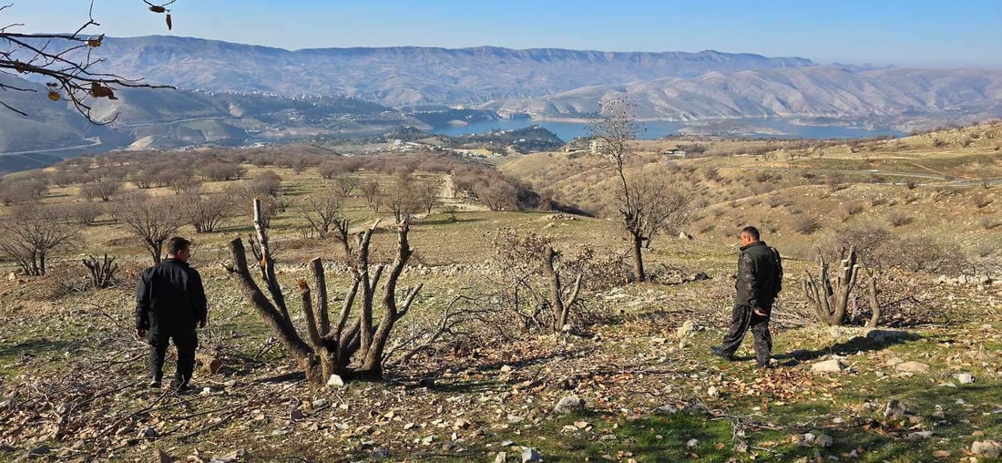 لە دوکان کومەڵێک داربەڕووی ناوقەد باریکیان بڕی و هەڵاتن