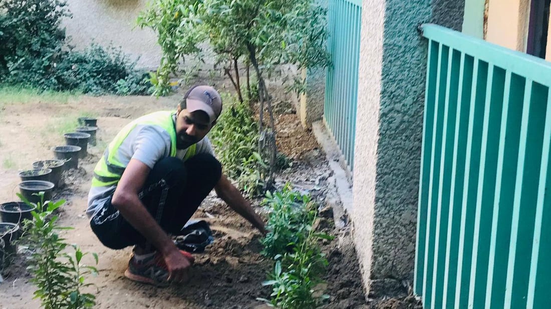 اختتام حملة “المدارس الخضراء” في مدينة الصدر.. بزراعة 13 ألف شجرة في 14 مدرسة