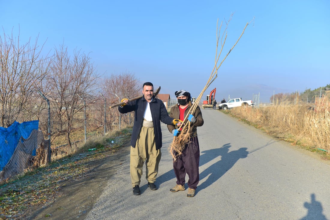 له‌ پێنجوێن 24 هه‌زار دار توو چێندراوه‌