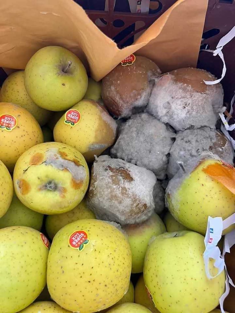 نزیکەی نۆ تۆن سێوی گەنیو لە مەرزی کێلێ دەستی بەسەرداگیرا