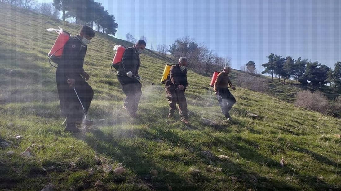 دارستان و پاوانی هەڵەبجە دەستی بە ئاگربڕ کردووە