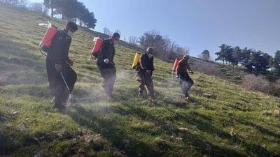 دارستان و پاوانی هەڵەبجە دەستی بە ئاگربڕ کردووە