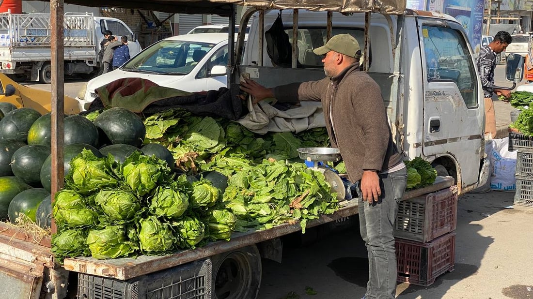 البصرة: الفواكه والخضروات الإيرانية أرخص في سوق الجمهورية.. المحلي حافظ على سعره