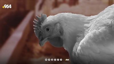 له‌مه‌ودوا به‌رهه‌مى كێڵگه‌ په‌له‌وه‌رییه‌كانى هەرێم ره‌وانه‌ى ناوه‌ڕاست و خوارووى عێراق ده‌كرێن