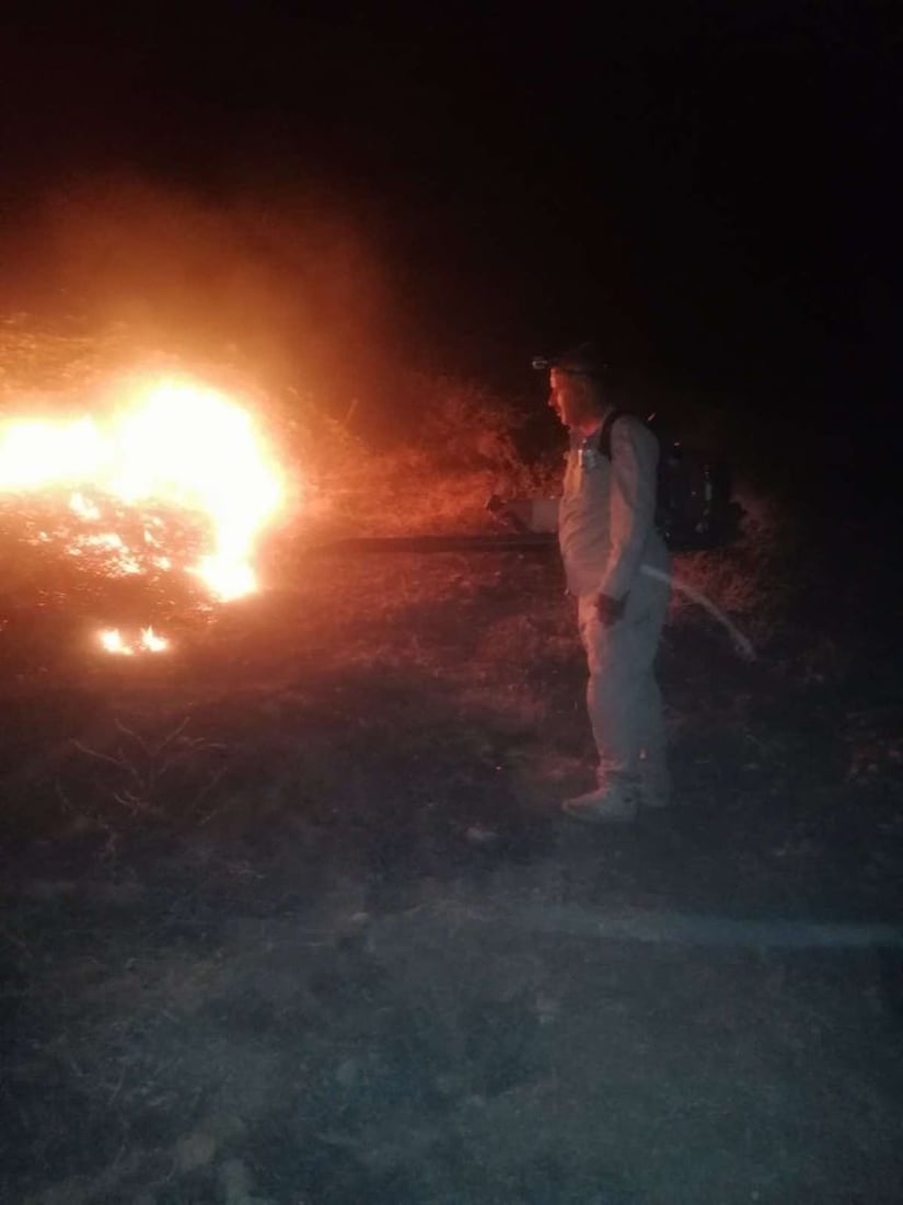 لە شارباژێر 60 دۆنم پوش و پاوان و دارستان سووتا