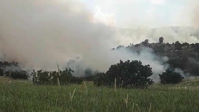 ئاگر کەوتەوە و 400 دۆنم پوش و پاوان و دارى سروشتى سوتا