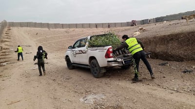 Over 2,000 trees planted in Erbil shelter for stray dogs