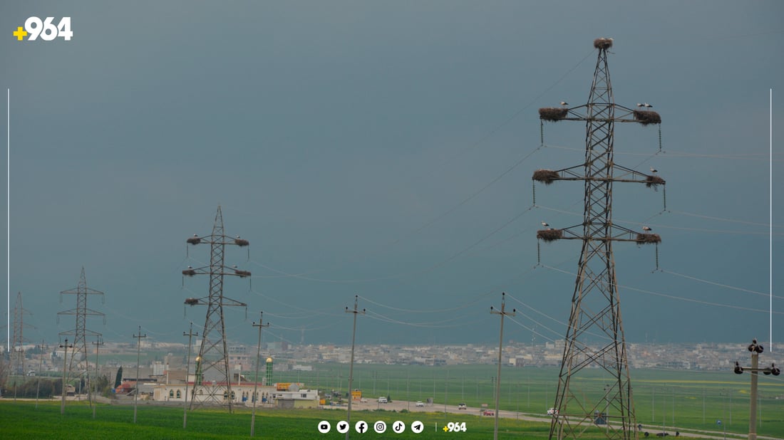 لەق لەقەکانی گوندی باریکە