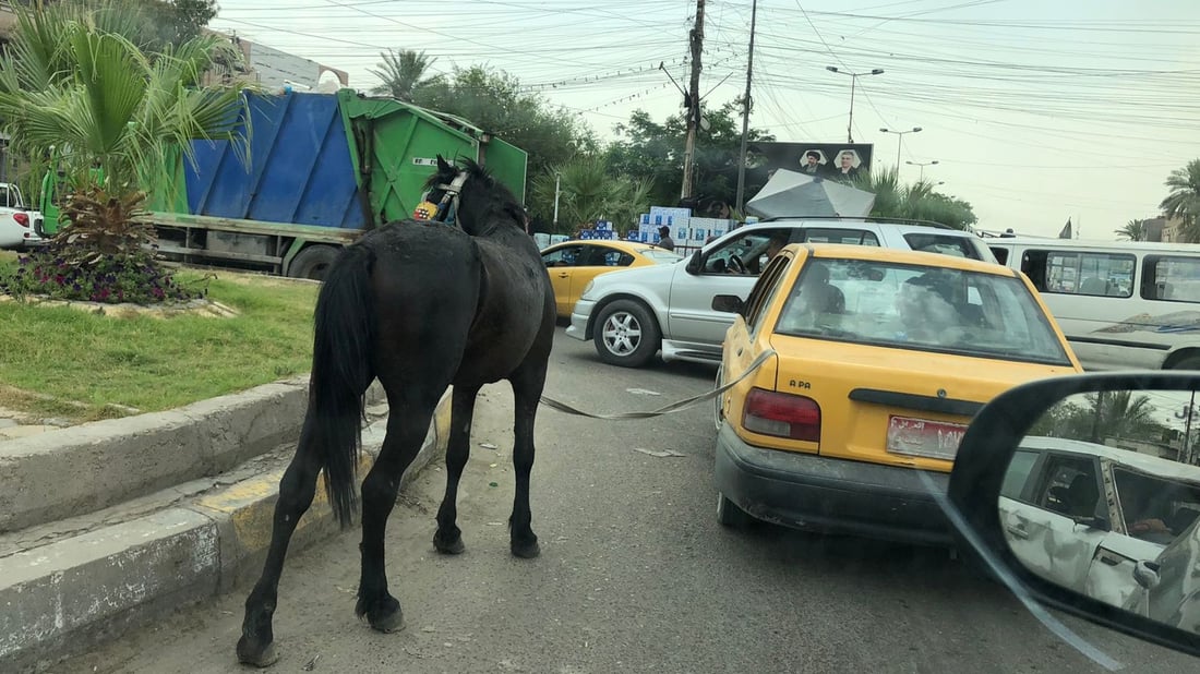 بغداد: سايبا تجر حصاناً مع صور “غريبة” كثيرة.. ماذا يحدث في شرق القناة؟