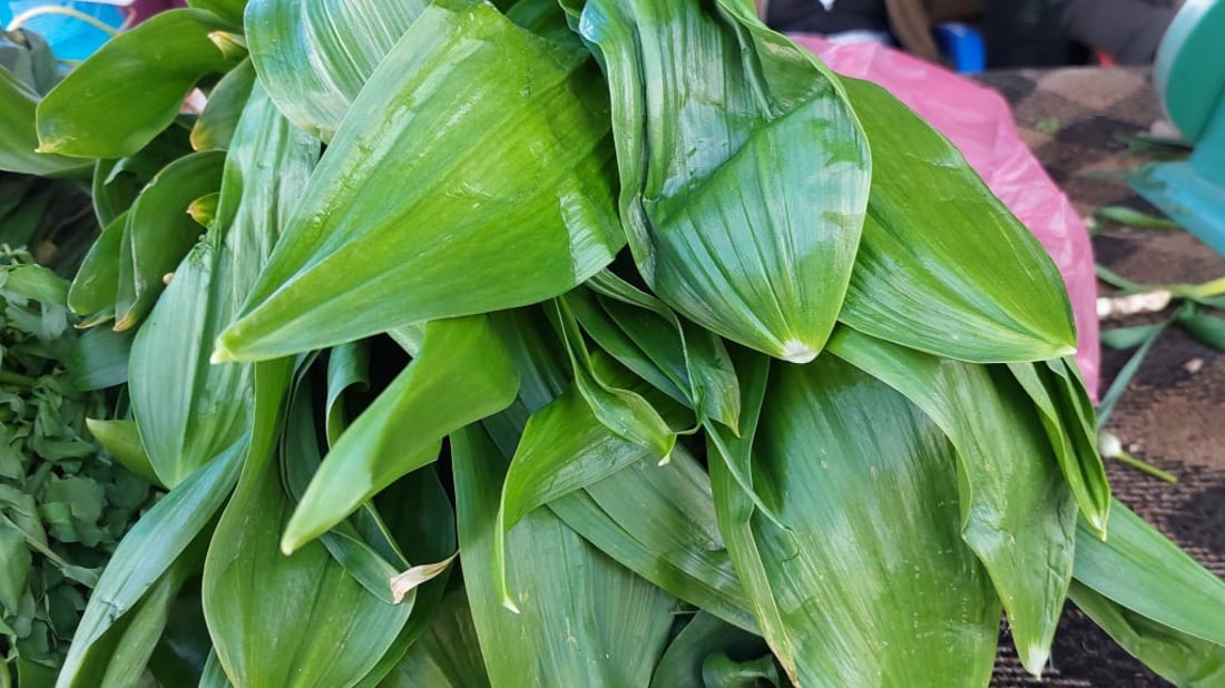 هل سمعت بنبات اسمه “ليش”؟.. حامض ولا يبقى في سوق دهوك سوى 10 أيام