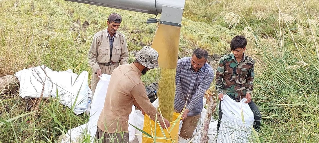 دەستەی وەبەرهێنان بەرهەمی میوەی جوتیاران دەكڕێتەوە