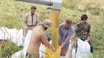 دەستەی وەبەرهێنان بەرهەمی میوەی جوتیاران دەكڕێتەوە