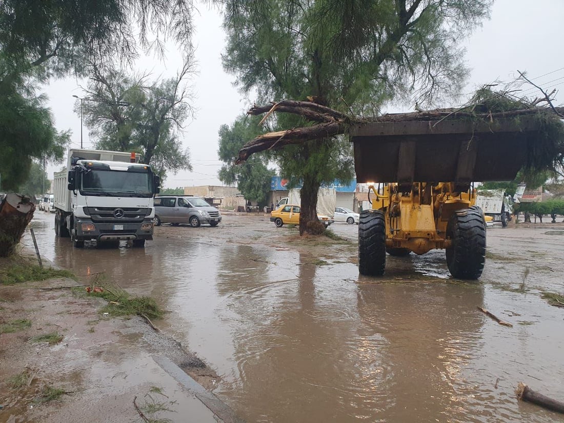 الزبير: العواصف اقتلعت الأشجار الباسقة.. وقطعت شارع “الخطوة” (صور)