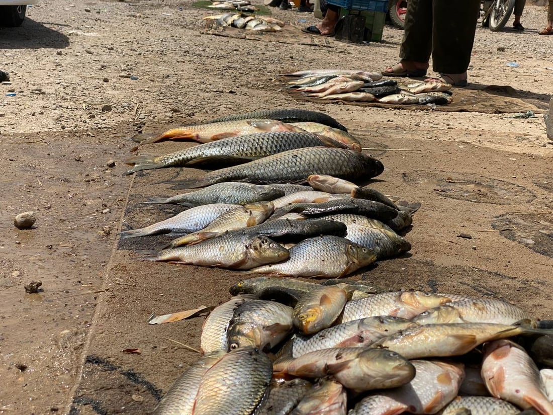 دەریاچەی حەمرین خەرمانێک خێری بۆ ناوچەکە هێنایەوە 