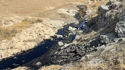 رشتنى سووته‌مه‌نییه‌ مه‌ترسیداره‌كه‌ى خه‌له‌كان كاردانه‌وه‌ى جیاوازى لێده‌كه‌وێته‌وه‌