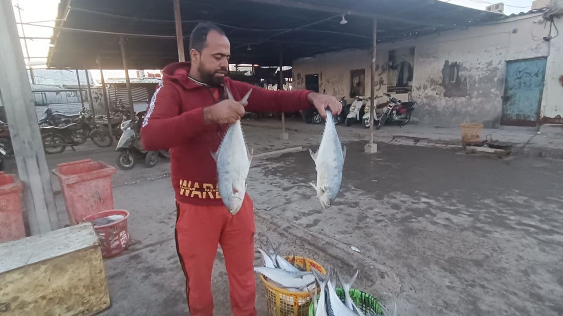 رياح جنوبية دافئة مكّنت الصيادين من العودة بأسماك وفيرة إلى مرسى النقعة (صور)