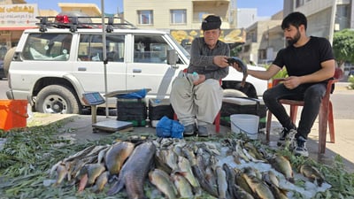 قەدەغەی راوەماسی هەڵگیرا و بازاڕی ماسیفرۆشانیش کزە