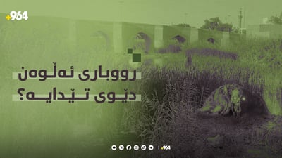 تا ساڵانێک لەمەوبەریش باوەڕ وابوو ئەڵوەن دێوی تێدایە