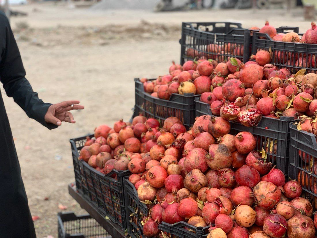 البيع مباشر على جانبي “عوينات”.. رمان عقرة وصل ربيعة والكيلو بـ 500 (صور)