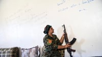 هل يمكن حقاً حل حزب العمال الكردستاني؟ وماذا عن العراق!